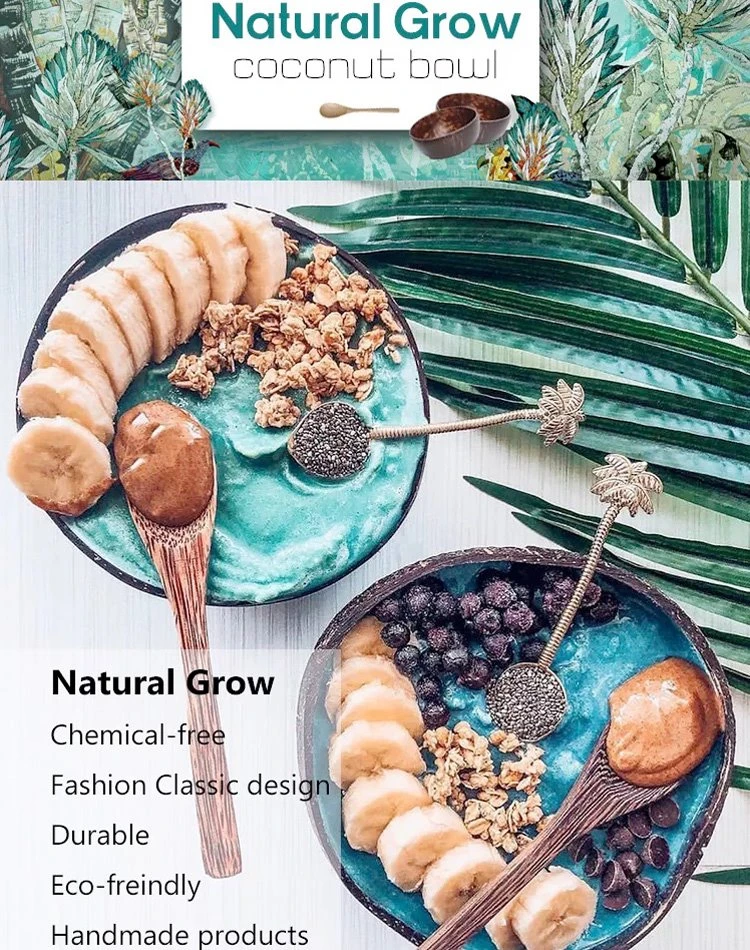 coconut bowls coconut bowls