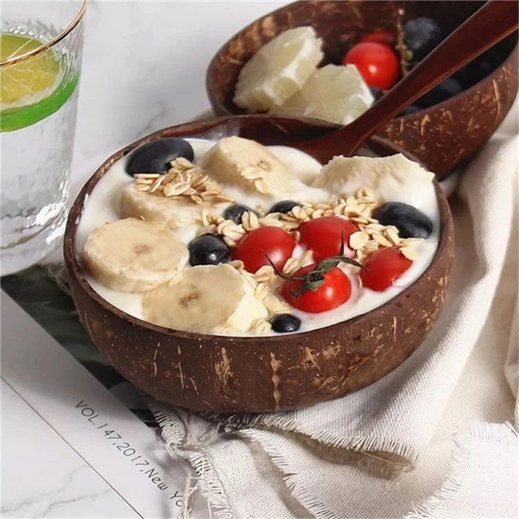 Eco Friendly coconut bowl