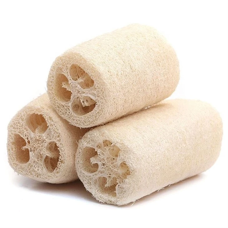 loofah sponges for kitchen